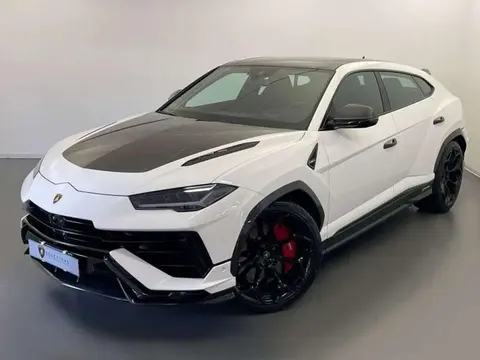 Annonce LAMBORGHINI URUS Essence 2023 d'occasion 