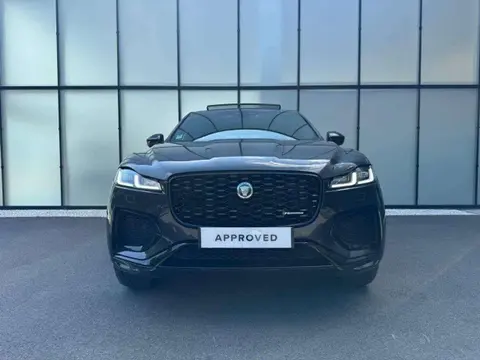 Annonce JAGUAR F-PACE Hybride 2024 d'occasion 