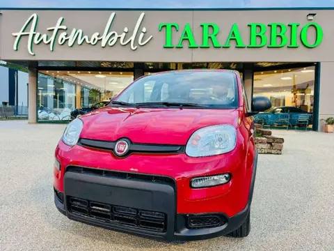 Annonce FIAT PANDA Hybride 2024 d'occasion 