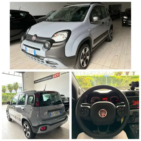 Annonce FIAT PANDA Hybride 2020 d'occasion 