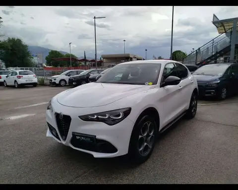 Used ALFA ROMEO STELVIO Diesel 2023 Ad 