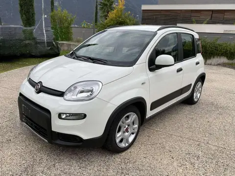 Annonce FIAT PANDA Essence 2023 d'occasion 