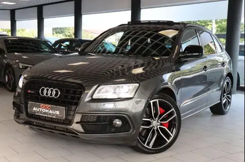 Used AUDI SQ5 Diesel 2017 Ad 