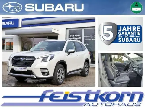 Annonce SUBARU FORESTER Essence 2024 d'occasion 