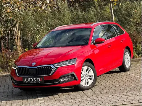 Annonce SKODA OCTAVIA Essence 2022 d'occasion 