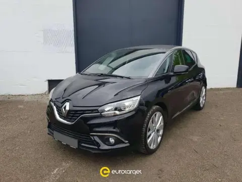 Used RENAULT SCENIC Diesel 2019 Ad 