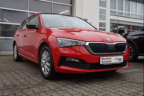 Used SKODA SCALA Petrol 2019 Ad 