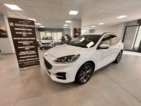 Annonce FORD KUGA Diesel 2021 d'occasion 