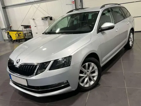 Annonce SKODA OCTAVIA Diesel 2020 d'occasion 