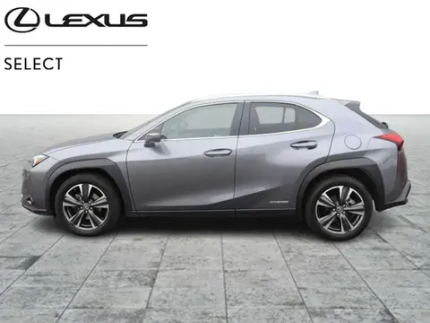 Annonce LEXUS UX Hybride 2021 d'occasion 