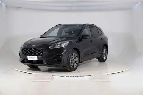 Used FORD KUGA Hybrid 2021 Ad 