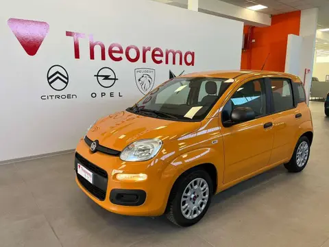 Annonce FIAT PANDA Hybride 2021 d'occasion 