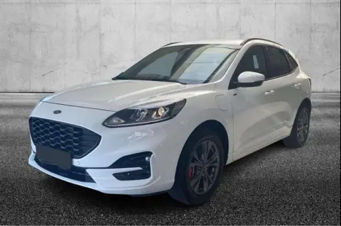 Annonce FORD KUGA Hybride 2021 d'occasion 