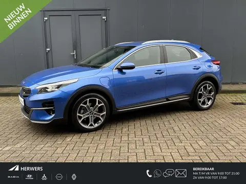 Used KIA XCEED Hybrid 2021 Ad 