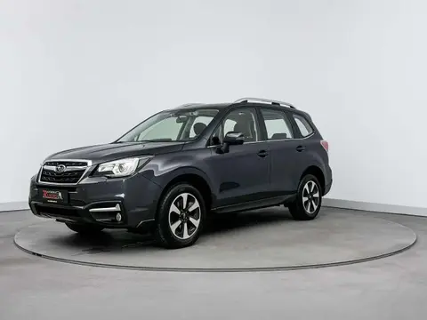 Used SUBARU FORESTER Petrol 2019 Ad 