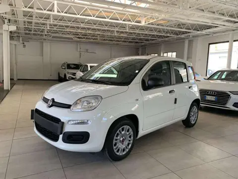 Annonce FIAT PANDA Essence 2024 d'occasion 