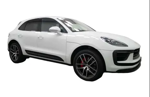 Used PORSCHE MACAN Petrol 2022 Ad 