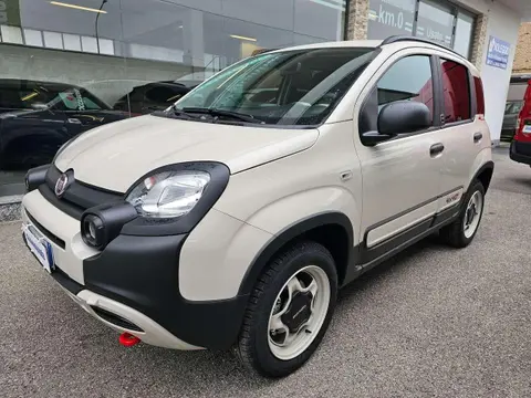 Annonce FIAT PANDA Essence 2023 d'occasion 