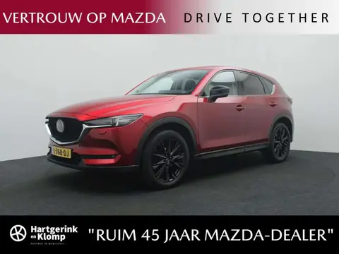 Used MAZDA CX-5 Petrol 2021 Ad 