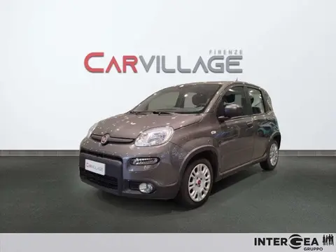 Annonce FIAT PANDA Hybride 2023 d'occasion 