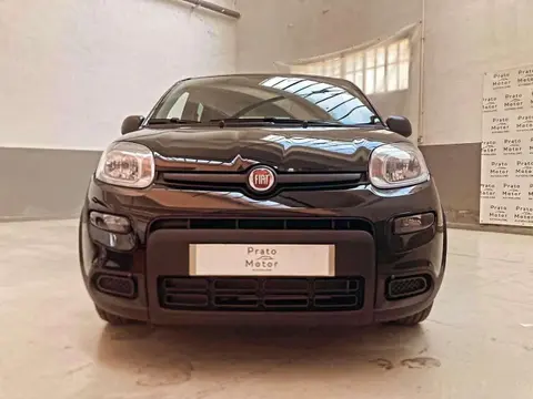 Annonce FIAT PANDA Hybride 2024 d'occasion 