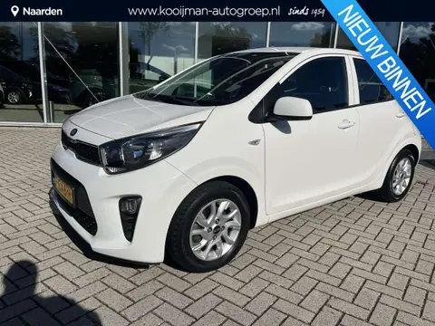 Used KIA PICANTO Petrol 2019 Ad 