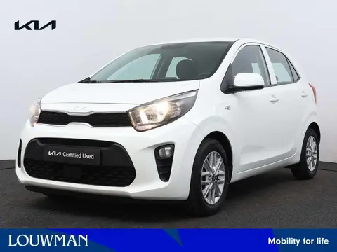 Used KIA PICANTO Petrol 2023 Ad 