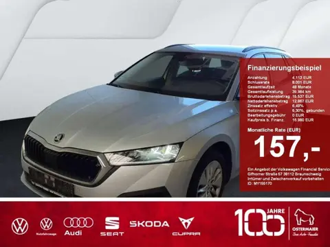 Used SKODA OCTAVIA Diesel 2021 Ad 