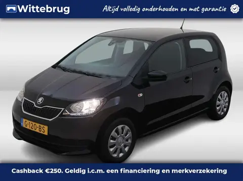 Used SKODA CITIGO Petrol 2019 Ad 