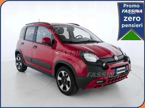 Used FIAT PANDA Hybrid 2024 Ad 