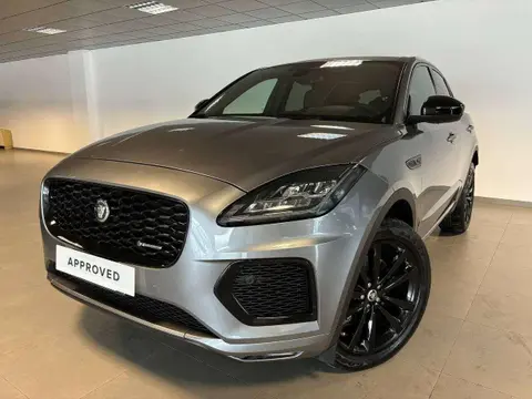 Used JAGUAR E-PACE Hybrid 2024 Ad 