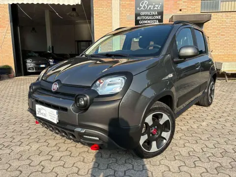 Used FIAT PANDA Hybrid 2023 Ad 