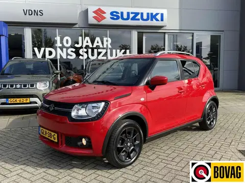 Used SUZUKI IGNIS Petrol 2018 Ad 