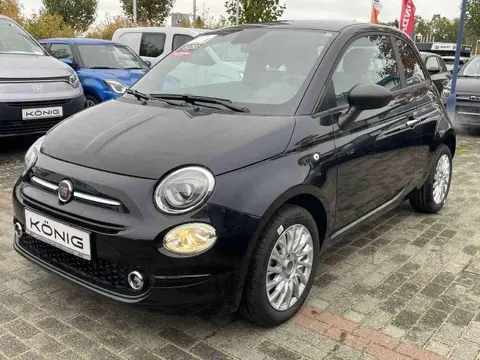 Used FIAT 500 Petrol 2023 Ad 