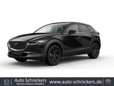 Annonce MAZDA CX-30 Essence 2024 en leasing 