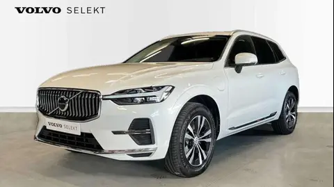 Annonce VOLVO XC60 Hybride 2021 d'occasion 