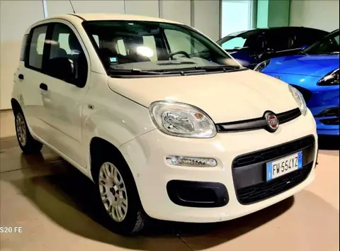 Used FIAT PANDA Petrol 2019 Ad 