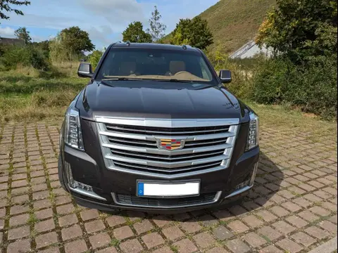 Annonce CADILLAC ESCALADE Essence 2017 d'occasion 