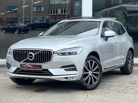 Used VOLVO XC60 Diesel 2019 Ad 