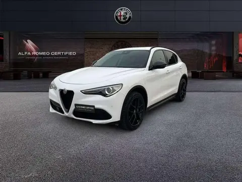 Used ALFA ROMEO STELVIO Diesel 2019 Ad 