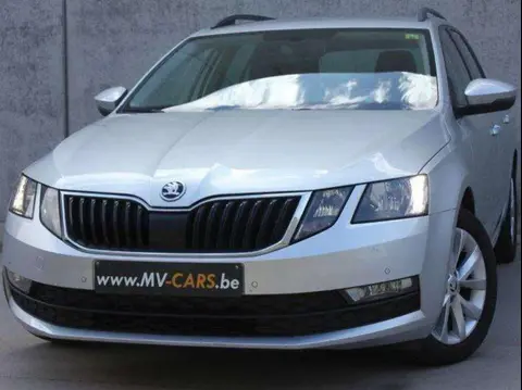 Used SKODA OCTAVIA Diesel 2019 Ad 