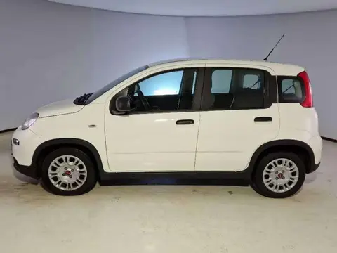 Used FIAT PANDA Hybrid 2022 Ad 