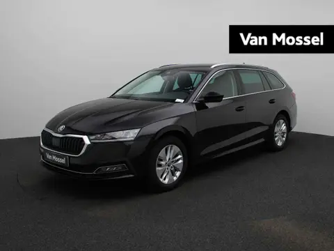 Used SKODA OCTAVIA Diesel 2020 Ad 