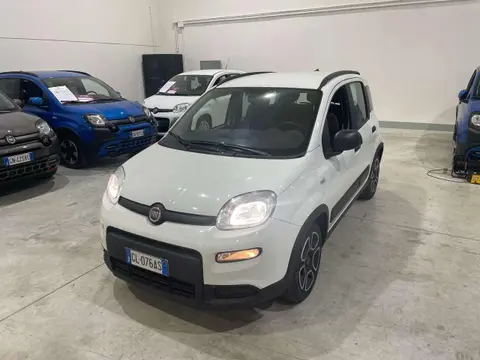 Used FIAT PANDA Hybrid 2022 Ad 