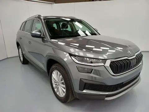 Used SKODA KODIAQ Petrol 2024 Ad 