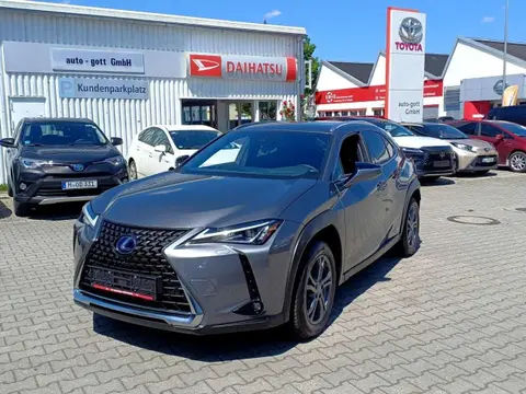 Used LEXUS UX Hybrid 2021 Ad 