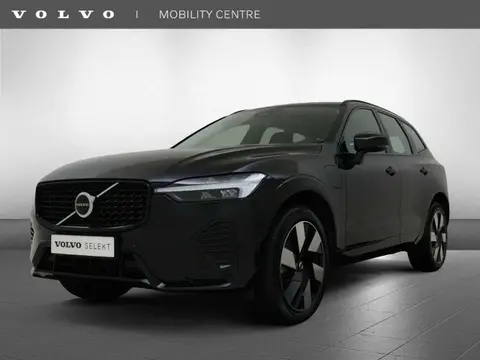 Annonce VOLVO XC60 Hybride 2024 d'occasion 