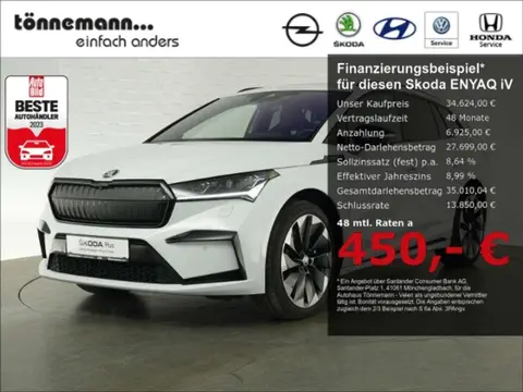 Used SKODA ENYAQ Electric 2021 Ad 