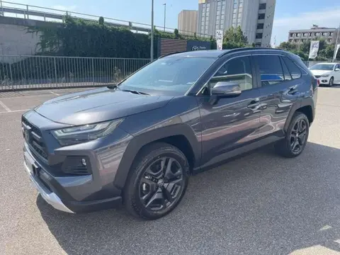 Used TOYOTA RAV4 Hybrid 2023 Ad 