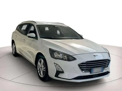 Annonce FORD FOCUS Diesel 2019 d'occasion 